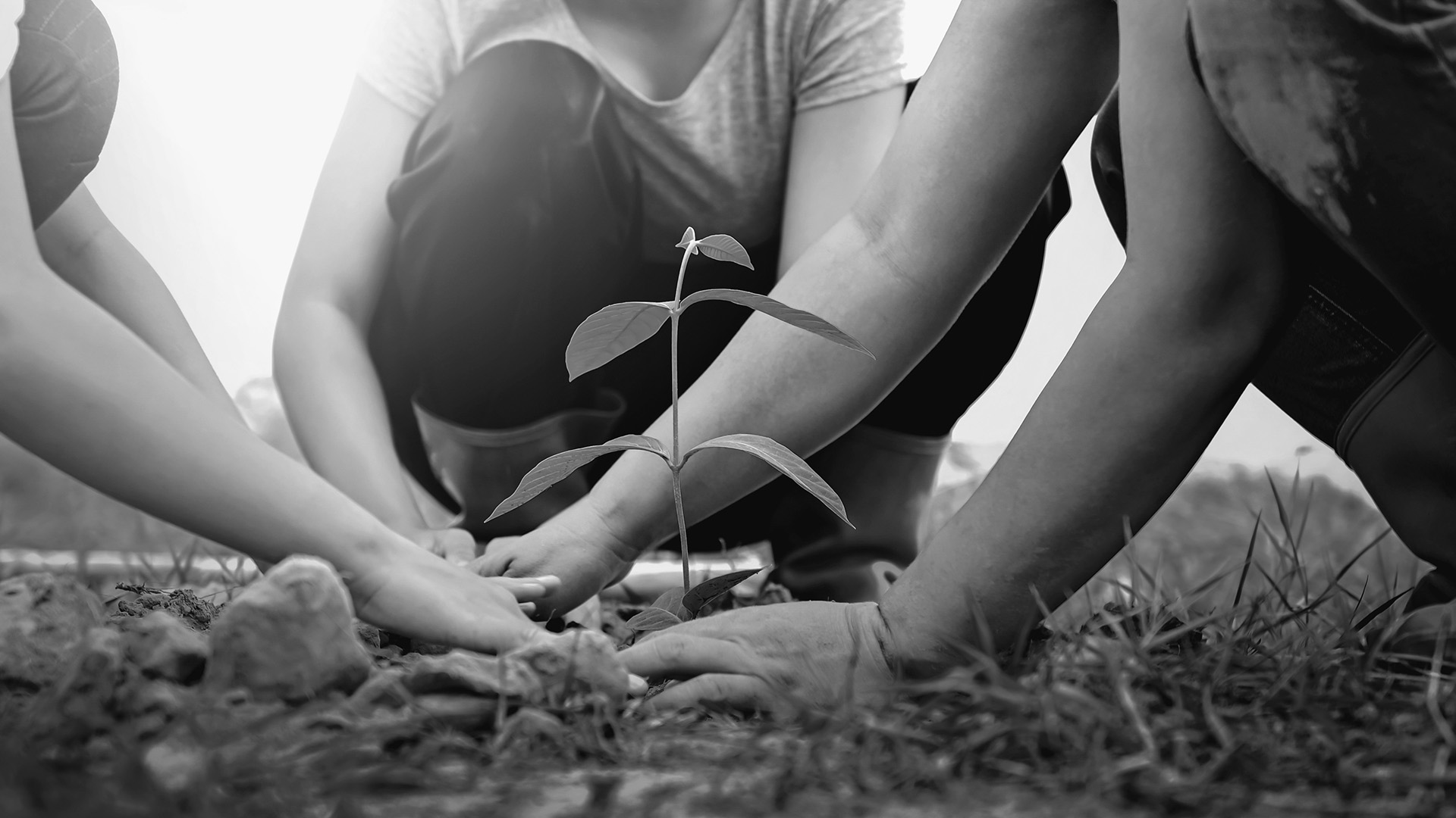 Sosyal Sorumluluk Projeleri